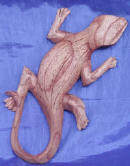 wood panel wooden panel wood carving carvings wood plaque antique wooden handicraft